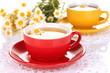 Cups of herbal tea with camomiles close up