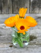 soucis en vase en verre