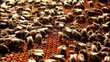 Video: Bees in hive taken out of box Bees in hive taken out of box