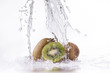 Photo: kiwi splash kiwi splash