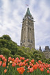 Springtime Parliament