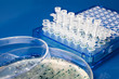 Collection of bacterial colonies from agar plate