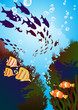 underwater world, coral reefs and colored fishes