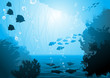 underwater world, oceanic fishes