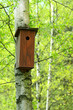 Birdhouse