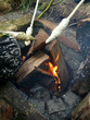 stockbrot