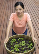 Mature woman working on home garden
