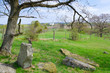 Swedish stonehenge park with church view