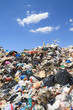 Garbage and seagulls