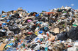 Garbage and seagulls