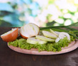 Composition with herbs and onions on nature background