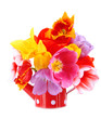 Beautiful tulips in bouquet isolated on white