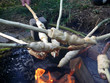 stockbrot zubereiten