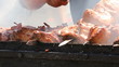 Shish kebab on the grill  