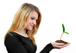 Girl holding in hand growing  plant