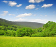 Spring landscape in the national park Sumava - Czech Republic