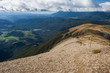 walking track in Nelson Lakes National Park