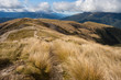 footpath across grassy fields in Nelson Lakes National Park