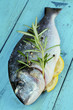 Dorado fish