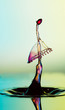 water drop