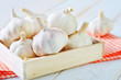 garlic