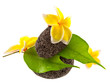 Photo: galets zen fleuris galets zen fleuris
