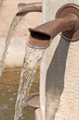 Wasserspeier