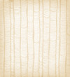 Rows of bright vertical folders