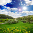 Wiesenlandschaft im Frühsommer