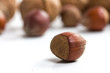 isolated hazelnuts