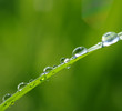 water drops
