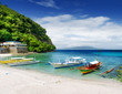 Tropical seashore