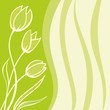 Green Floral background with spring tulips
