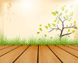 Vektor: Summer Background Summer Background