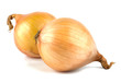 Fresh bulbs of onion on a white background