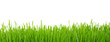 grass on white