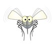 mosquito