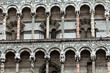 San Michele in Foro church - Lucca , Tuscany.