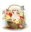 Vektor: Illustration of the siamese kitten sitting in a basket with ros Illustration of the siamese kitten sitting in a basket with ros