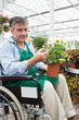 Man in wheelchair holding potted plant in garden center