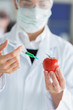 Student  injecting liquid in a tomato