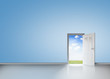 Door opening to reveal blue sky and meadow