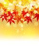 秋　紅葉　もみじ