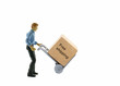 man with trolley and free shipping