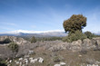 Guadarrama Mountains, Madrid, Spain