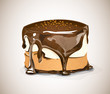 Chocolate cake
