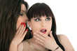 Two young girlfriends sharing their secrets, studio shot