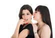Two young girlfriends sharing their secrets, studio shot