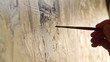 Painting a cat's eye.