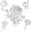 Set of roses